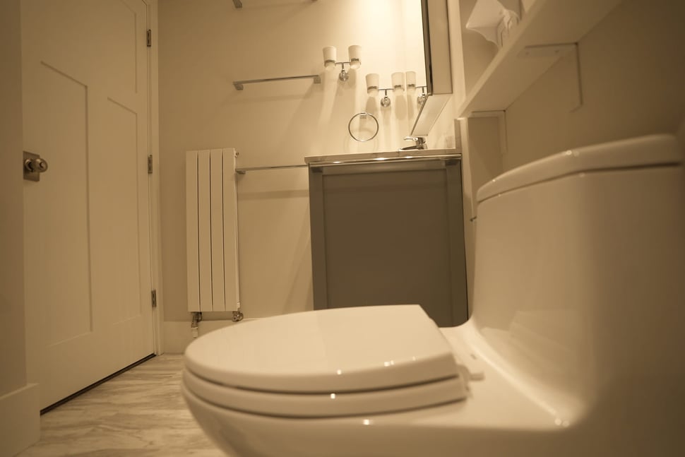 Grab bars next to toilet in New Hampshire bathroom remodel