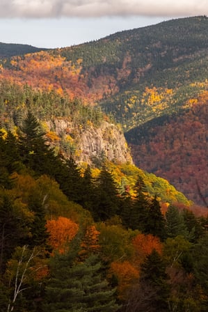 new hampshire fall forest colors