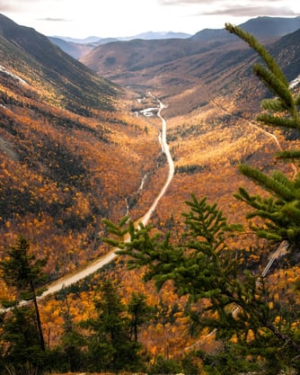 white mountain national forest beautiful fall colors